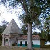 امامزاده حسن رضا کچلده