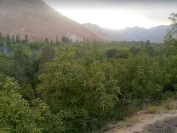 مزداران فیروزکوه