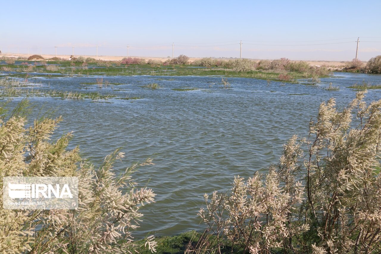 تالاب بندعلیخان