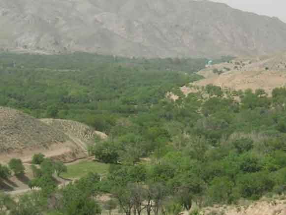 روستای مصعبی سرایان
