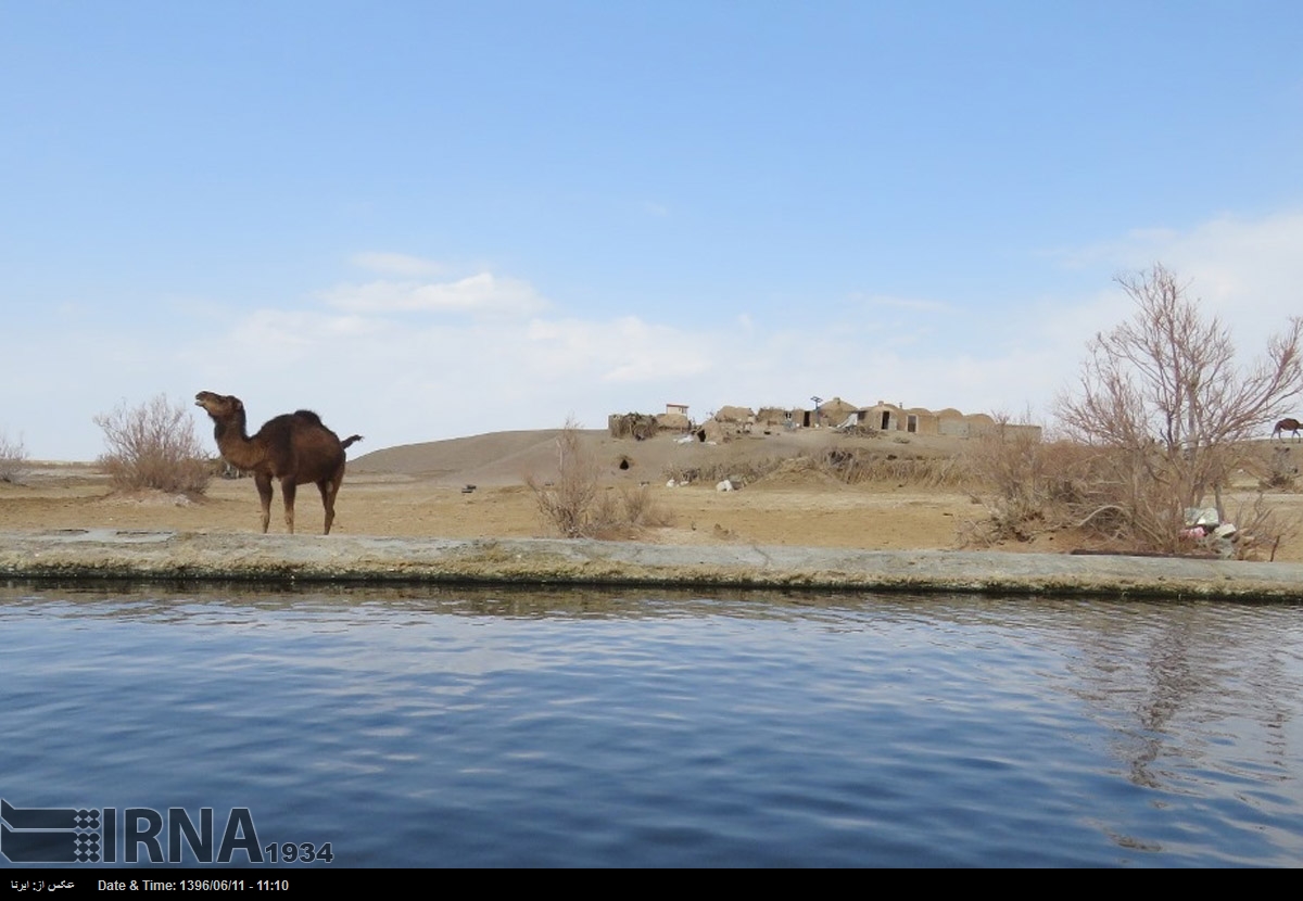 جنگل نخاب خور
