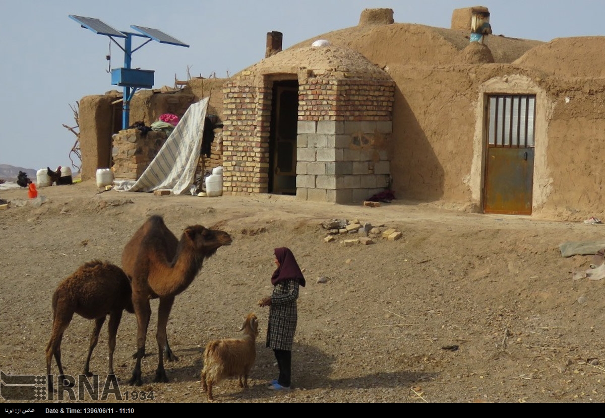جنگل نخاب خور