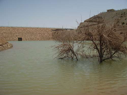 سد شوسف