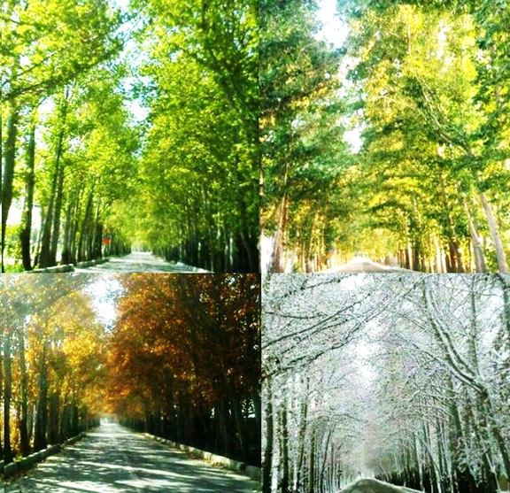 روستای زرنان تهران