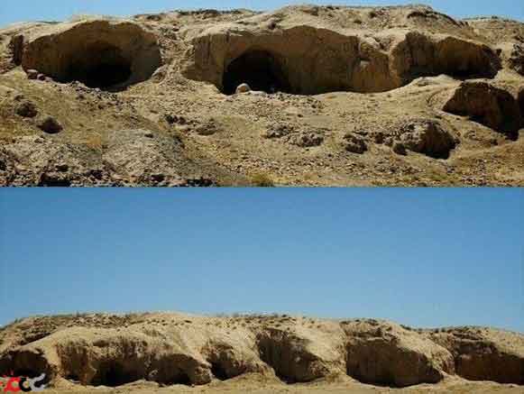 مالین باخرز