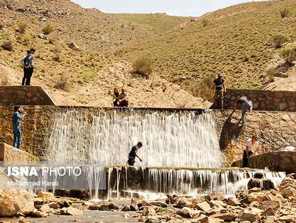 روستای ایله تایباد