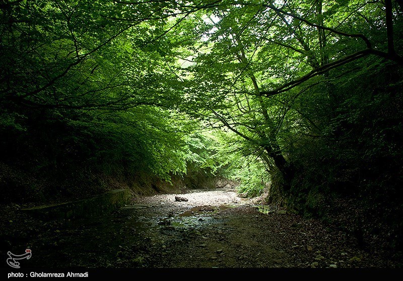 آبشار سنگ نو مازندران