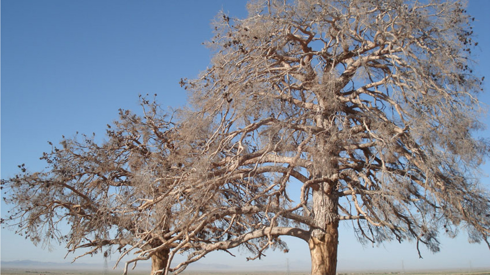 روستای باب الحکم بردسکن