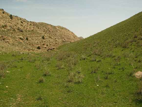 منطقه حفاظت شده دربادام