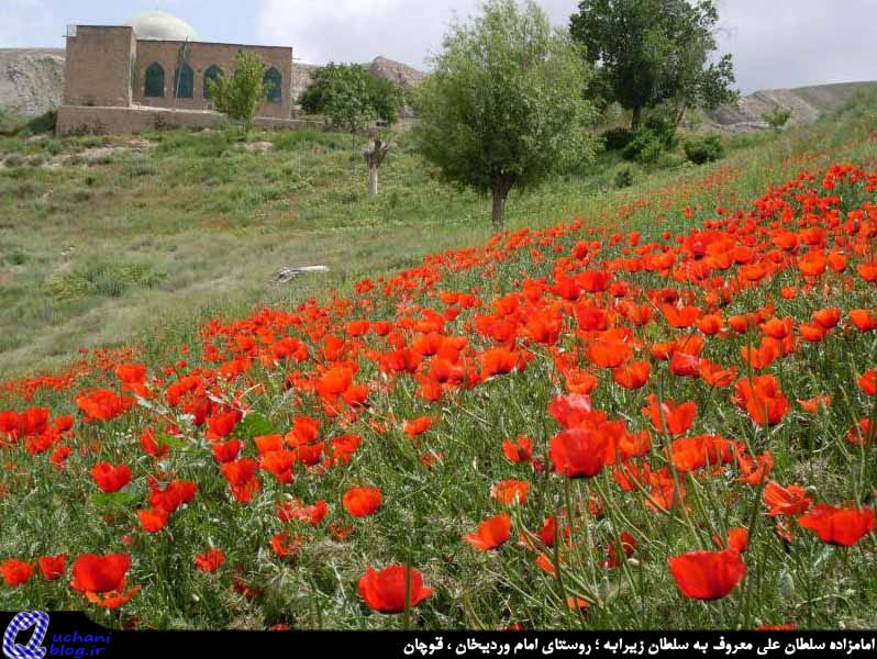 سلطان زیرابه قوچان