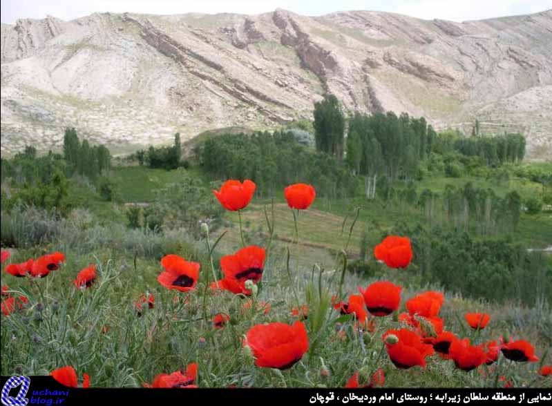 سلطان زیرابه قوچان