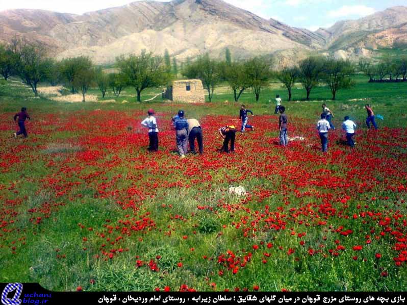 روستای اماموردیخان قوچان
