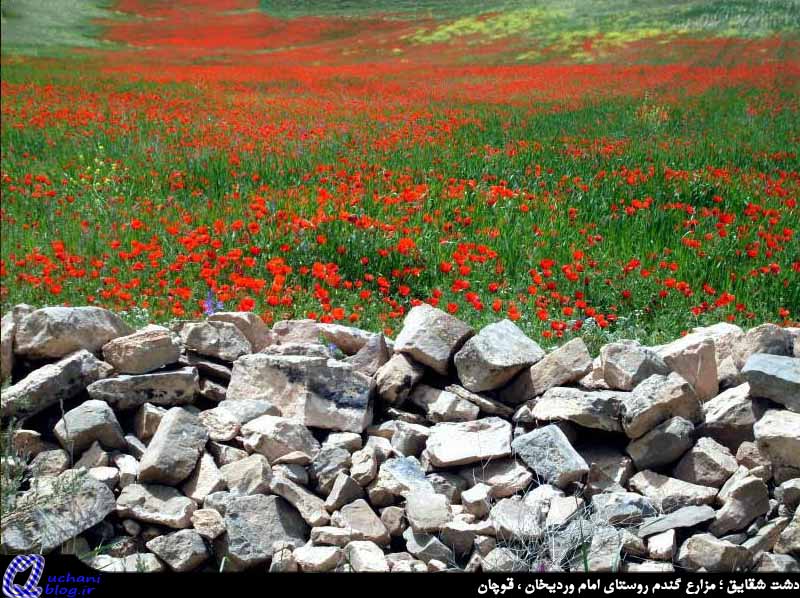 روستای اماموردیخان قوچان