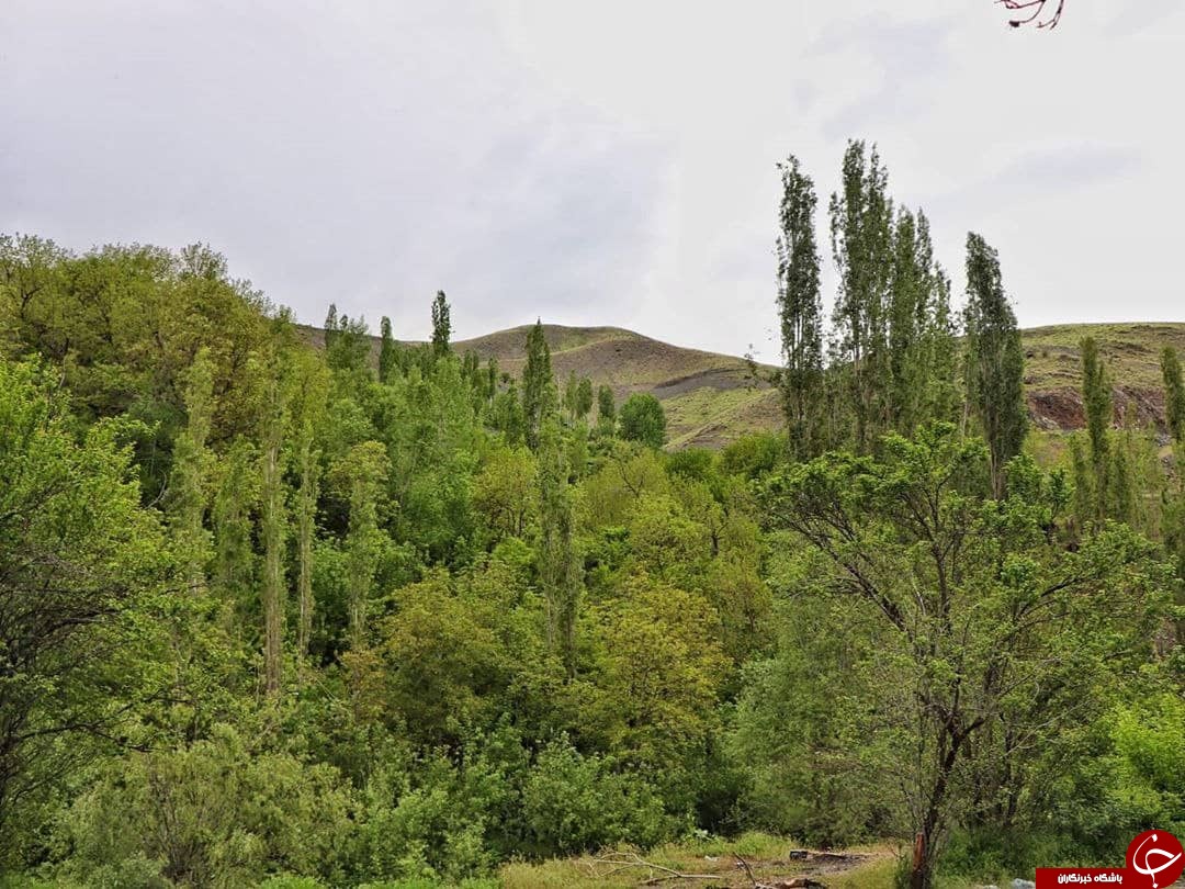 روستای کردینه طرقبه