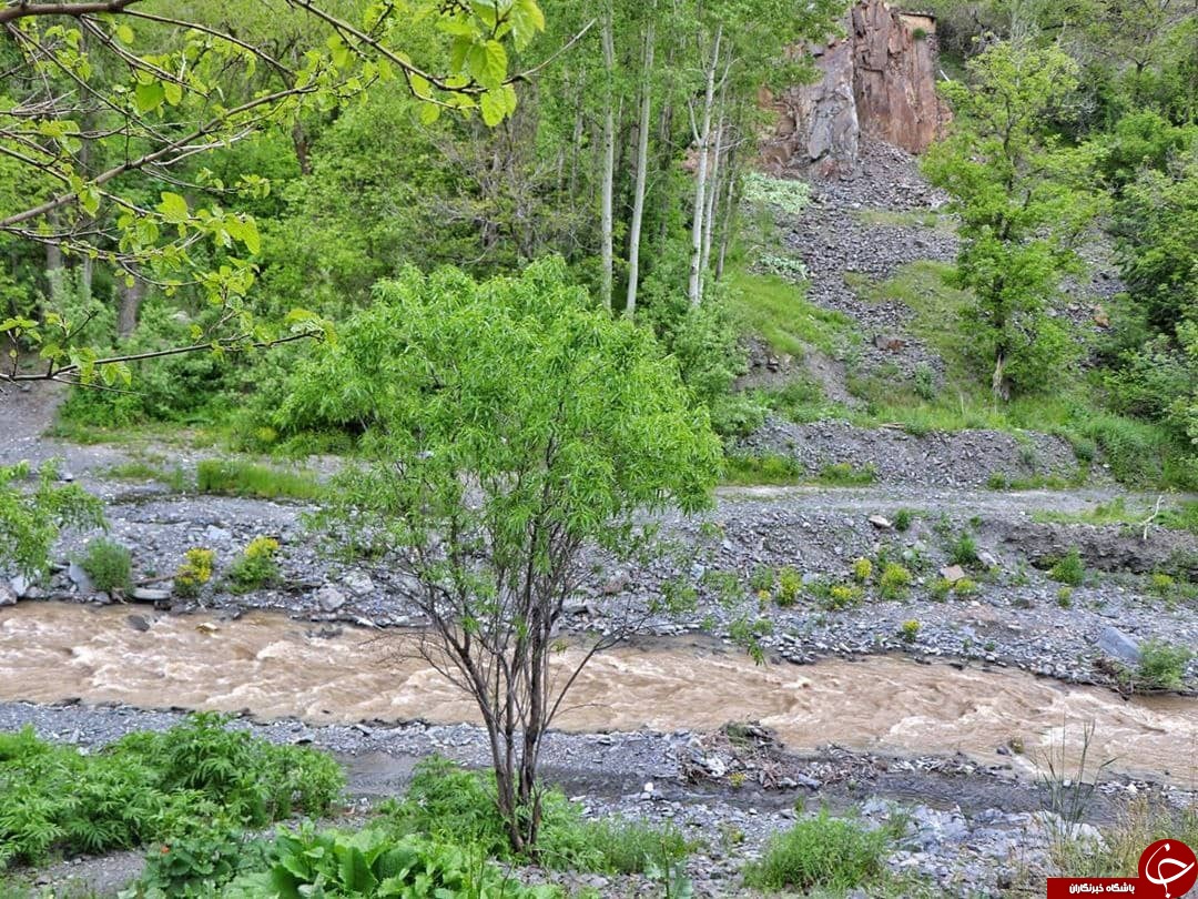 روستای کردینه طرقبه