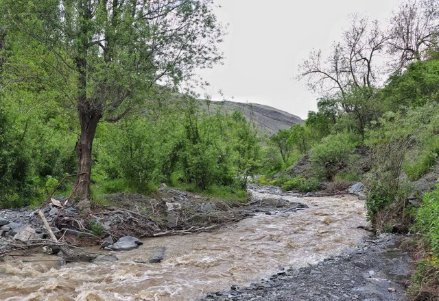 روستای کردینه طرقبه