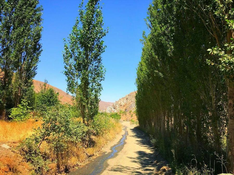 روستای کردینه طرقبه