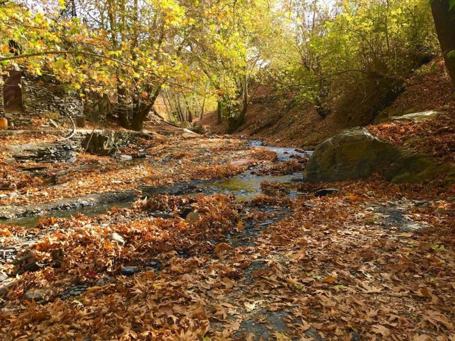 روستای مایان بینالود