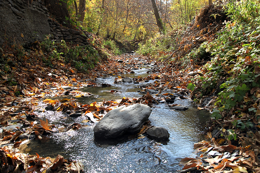 روستای مایان بینالود