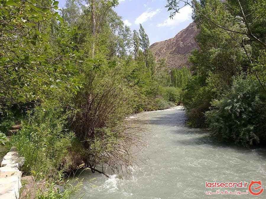 جنگل سربرج بینالود