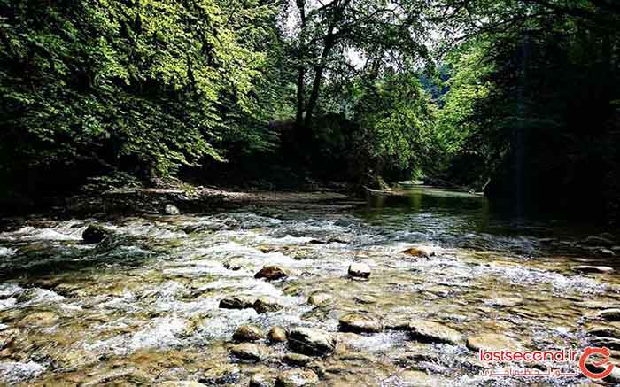 جنگل سربرج بینالود