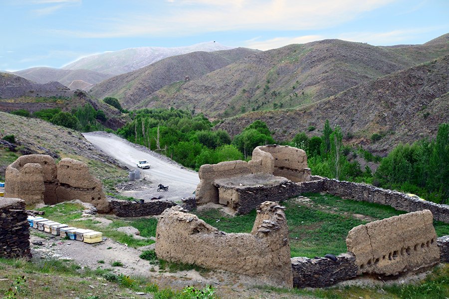 جنگل سربرج بینالود