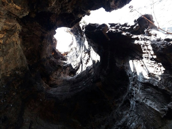 روستای ازغد بینالود