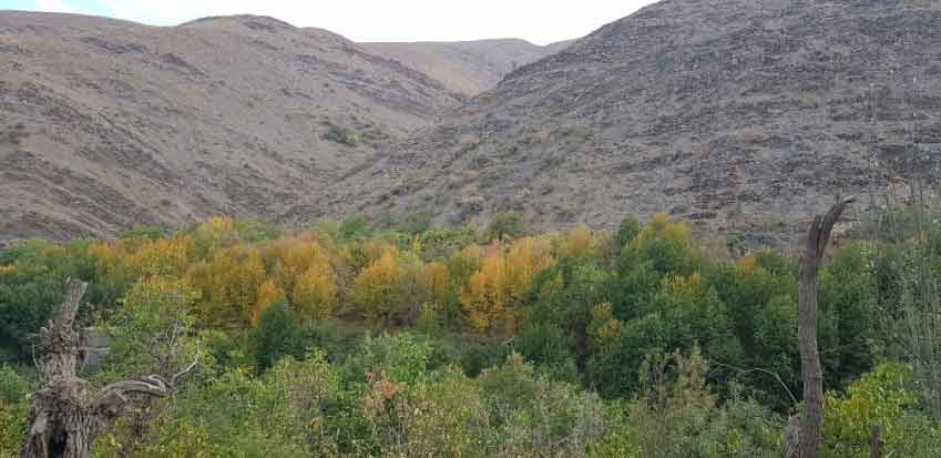 روستای ازغد بینالود