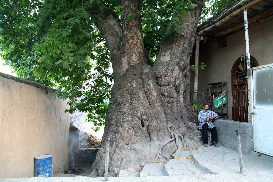 روستای دهبار بینالود