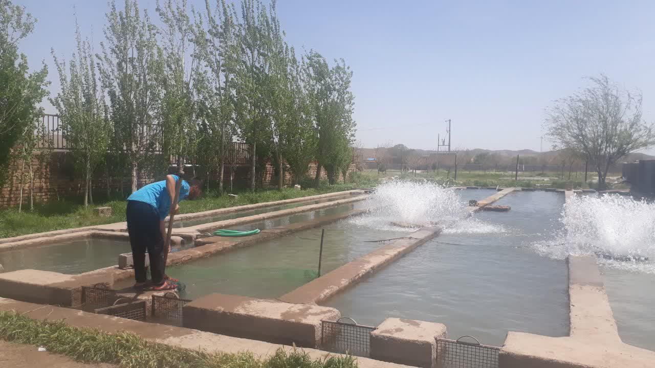 روستای سوران تایباد