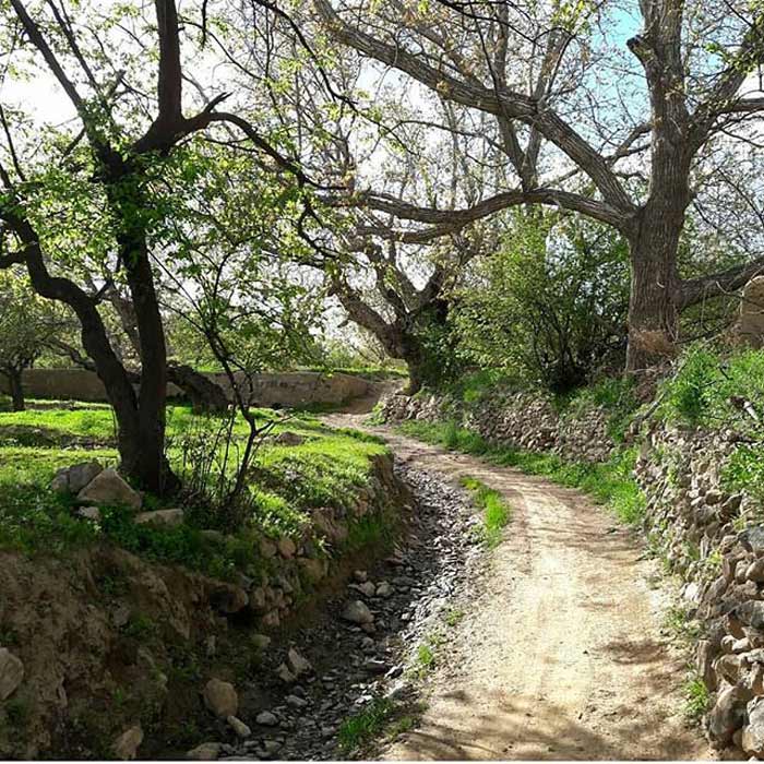 روستای آبقه تایباد