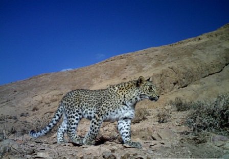 منطقه حفاظت شده جنگل خواجه
