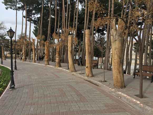 باغ ملی تربت حیدریه