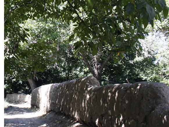 سرحد جغتای