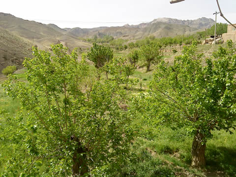 روستای درفک خوشاب