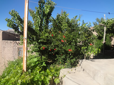 روستای درفک خوشاب