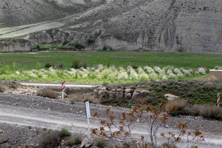 پلکان نادری درگز