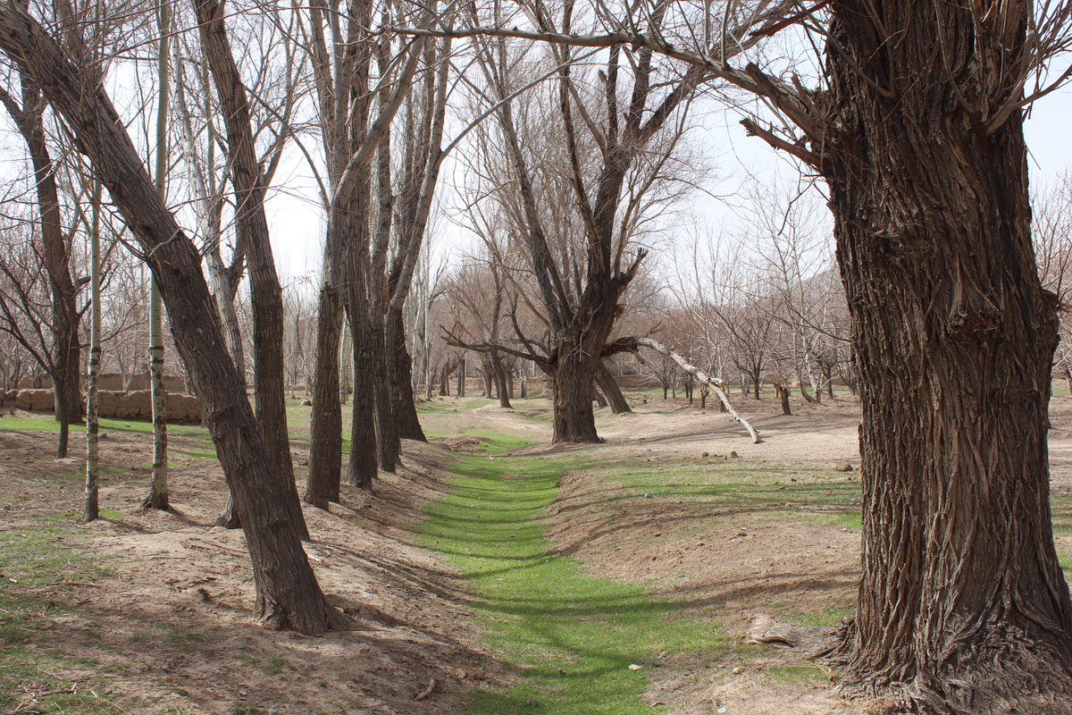 دره دریز رشتخوار