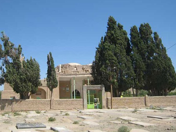 درختان سرو امامزاده میرقوام الدین نوق
