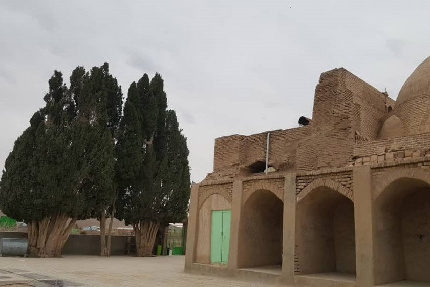 درختان سرو امامزاده میرقوام الدین نوق