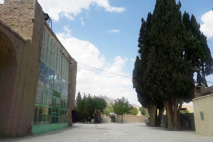 درختان سرو امامزاده میرقوام الدین نوق