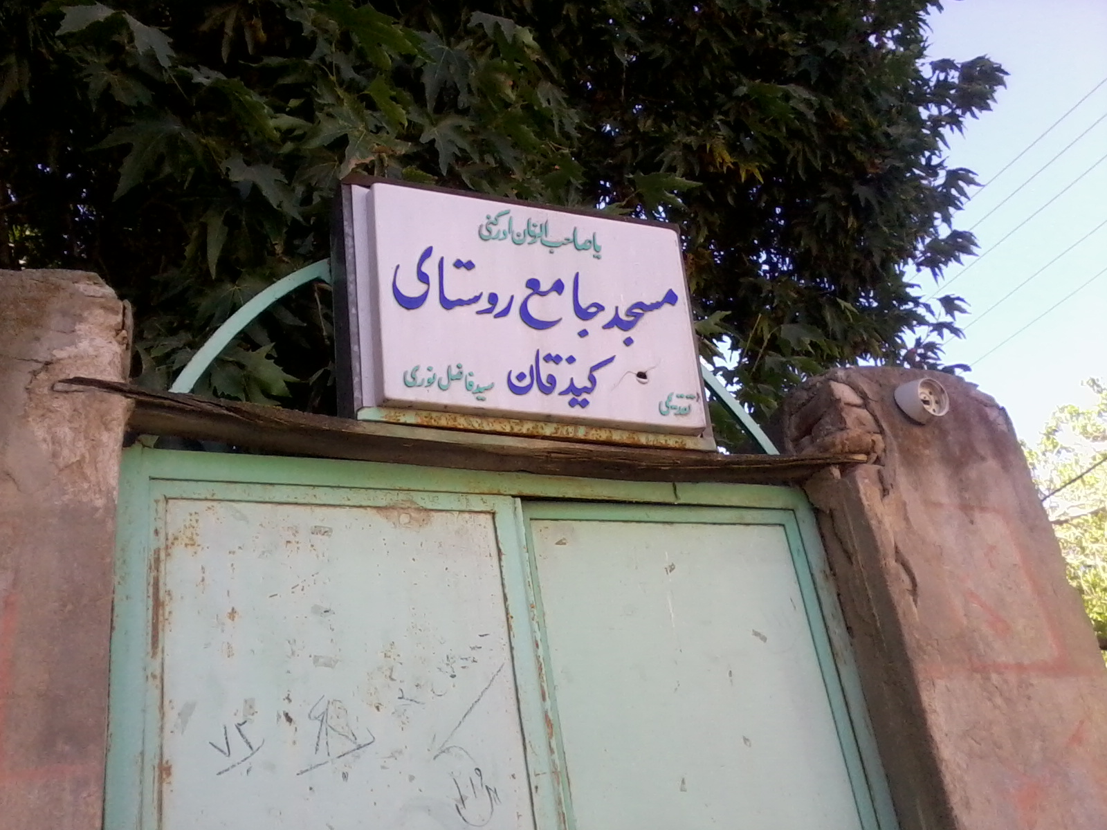 چنار کیذقان
