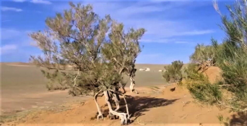 منطقه حفاظت شده پروند سبزوار