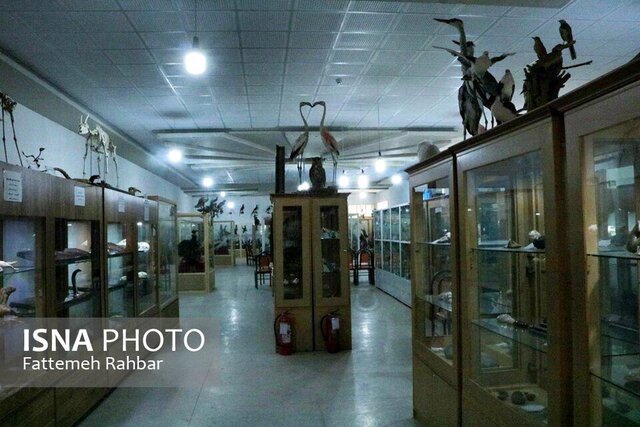 موزه علوم طبیعی بهاباد