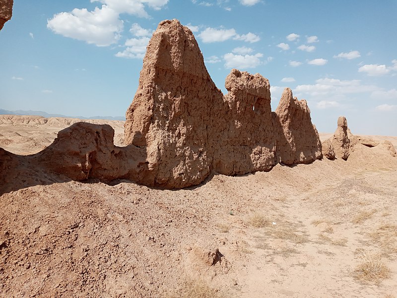قلعه ریگ کاشمر