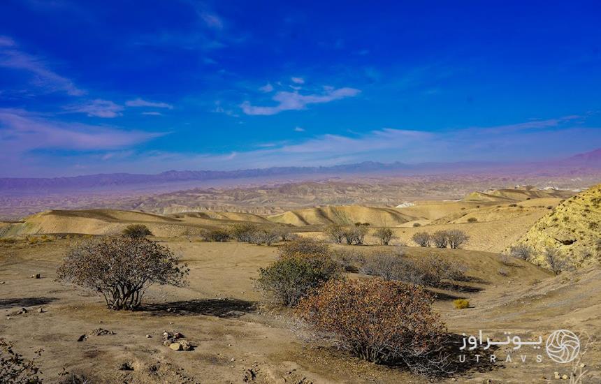 جنگل پسته خواجه کلات