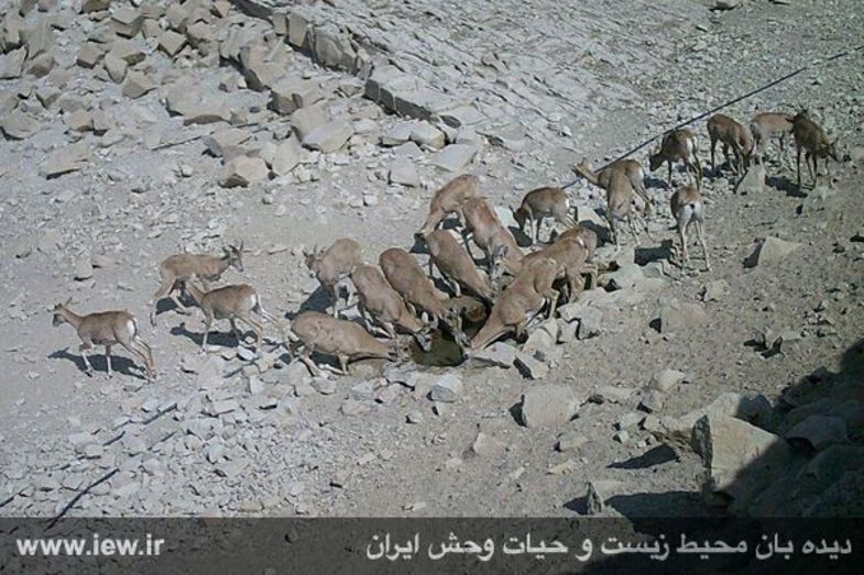 منطقه حفاظت شده هرمود