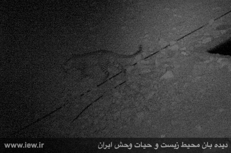 منطقه حفاظت شده هرمود