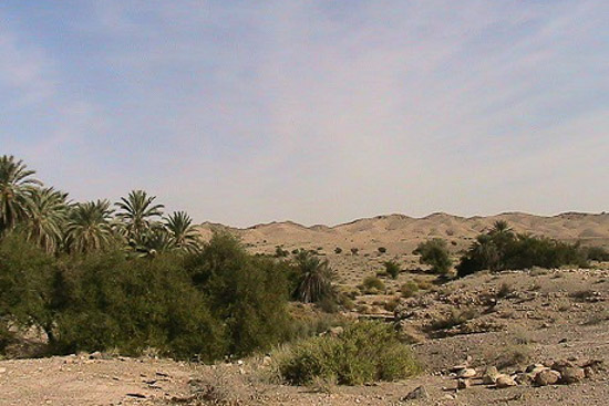 منطقه حفاظت شده هرمود