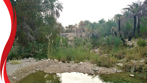 هتل آرام ماسوله